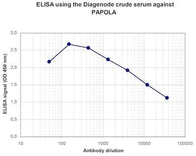 ELISA: PAPOLA Antibody [NBP3-18653]